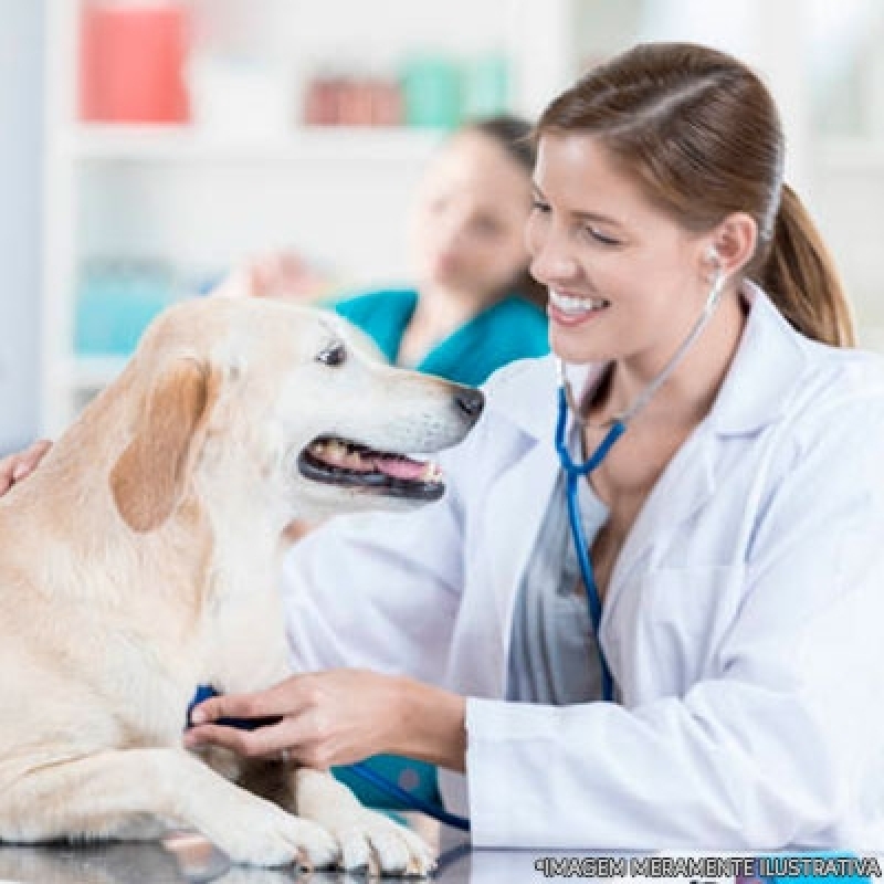 Hospital de Cachorro Parque Sonia - Hospital Veterinário Cães e Gatos