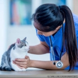 centro veterinário felino localizar Vila Americana