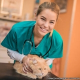 centros veterinários para gatos Vila Rosaria