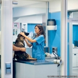clínica médica veterinária