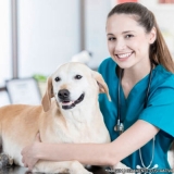 clínica veterinária e pet shop