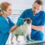 clínica veterinária para cachorro localização Itaim Paulista