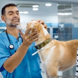 clínica veterinária pet shop localização Vila Americana