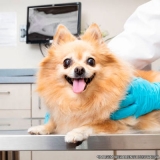 clínicas veterinária para cachorro Cidade Líder