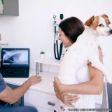 exame complementar veterinária Vila Americana