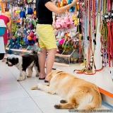 local de pet shop de animais Vila Rosaria