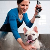 serviço de banho e tosa cachorro Vila Ré